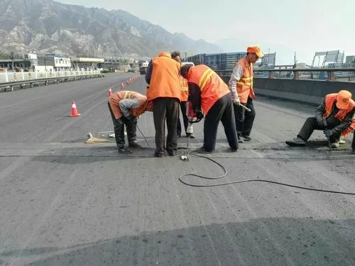 原阳道路桥梁病害治理